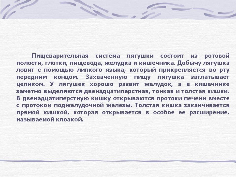 Пищеварительная система лягушки