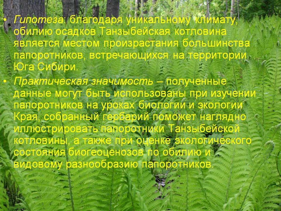 Гипотеза
