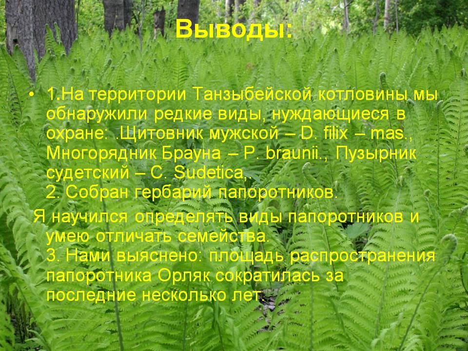 Выводы