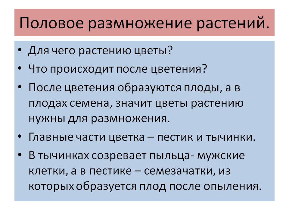 Половое размножение растений