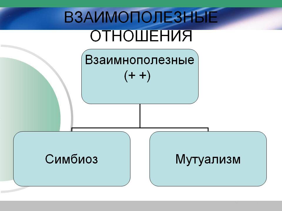 Взаимополезные отношения
