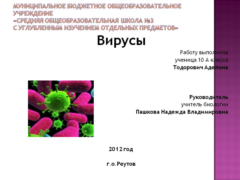 Вирусы Работу выполнила ученица 10 А класса Тодорович Аделина