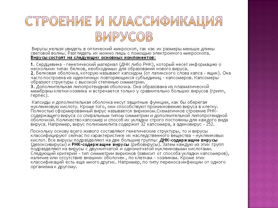 Строение и классификация вирусов
