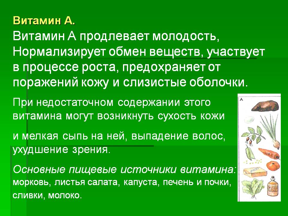 Витамин А продлевает молодость, Нормализирует обмен веществ, участвует