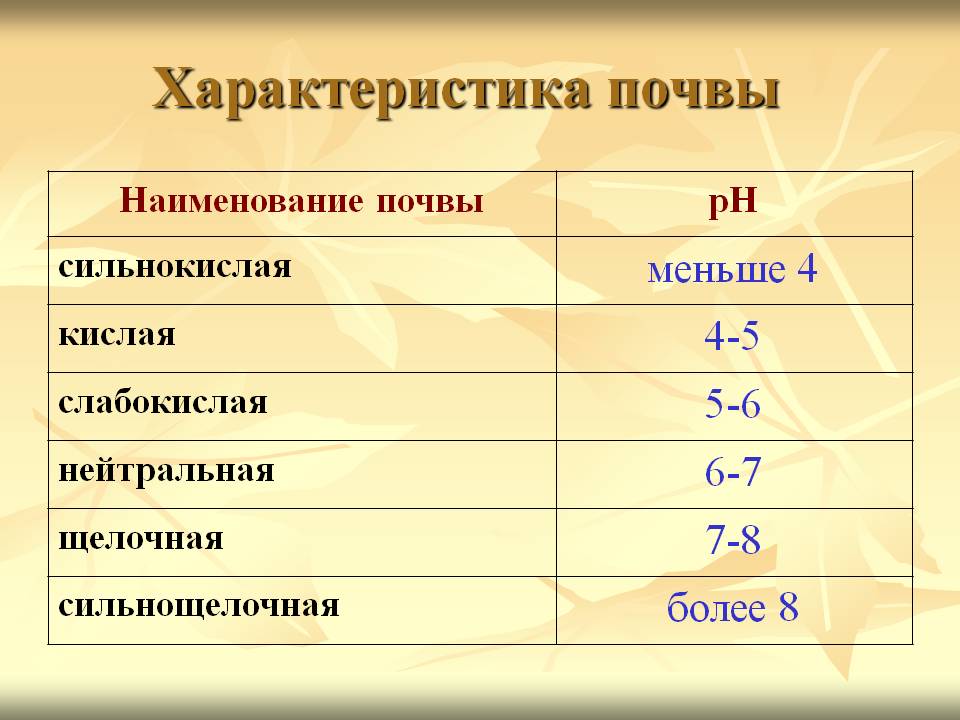 Характеристика почвы