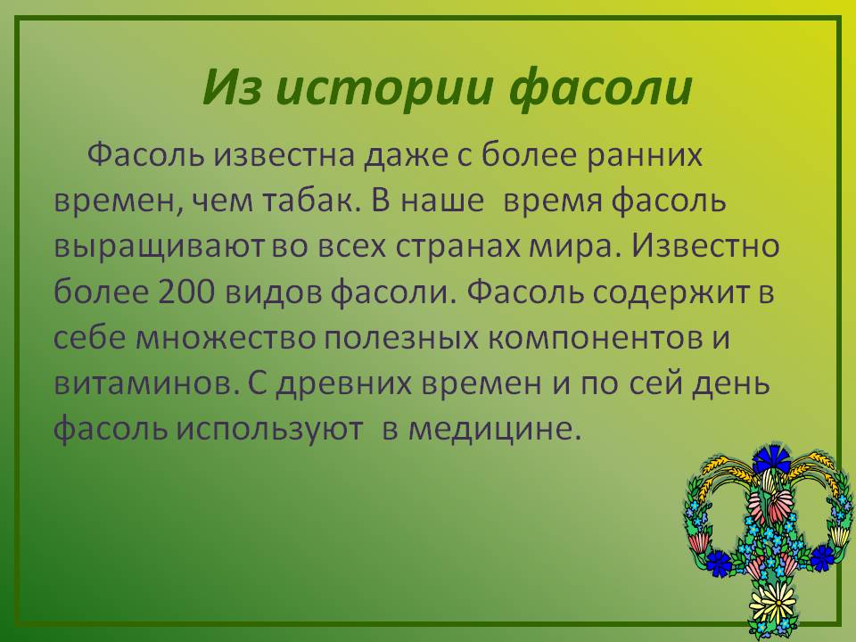 Из истории фасоли