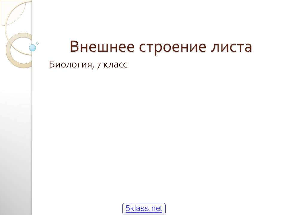 Внешнее строение листа