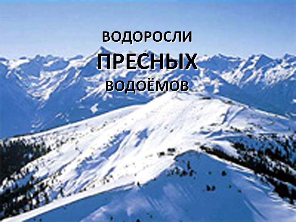 Водоросли пресных водоёмов