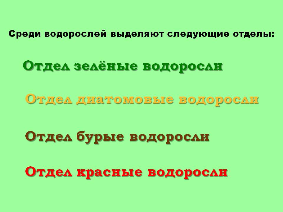 Отдел зелёные водоросли