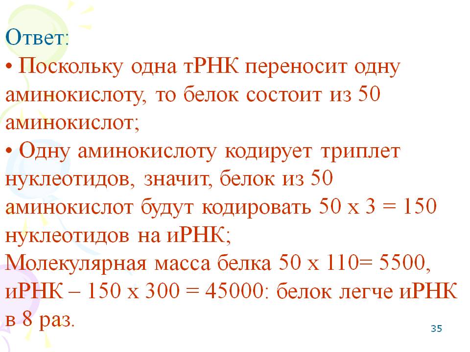 Триплет нуклеотидов