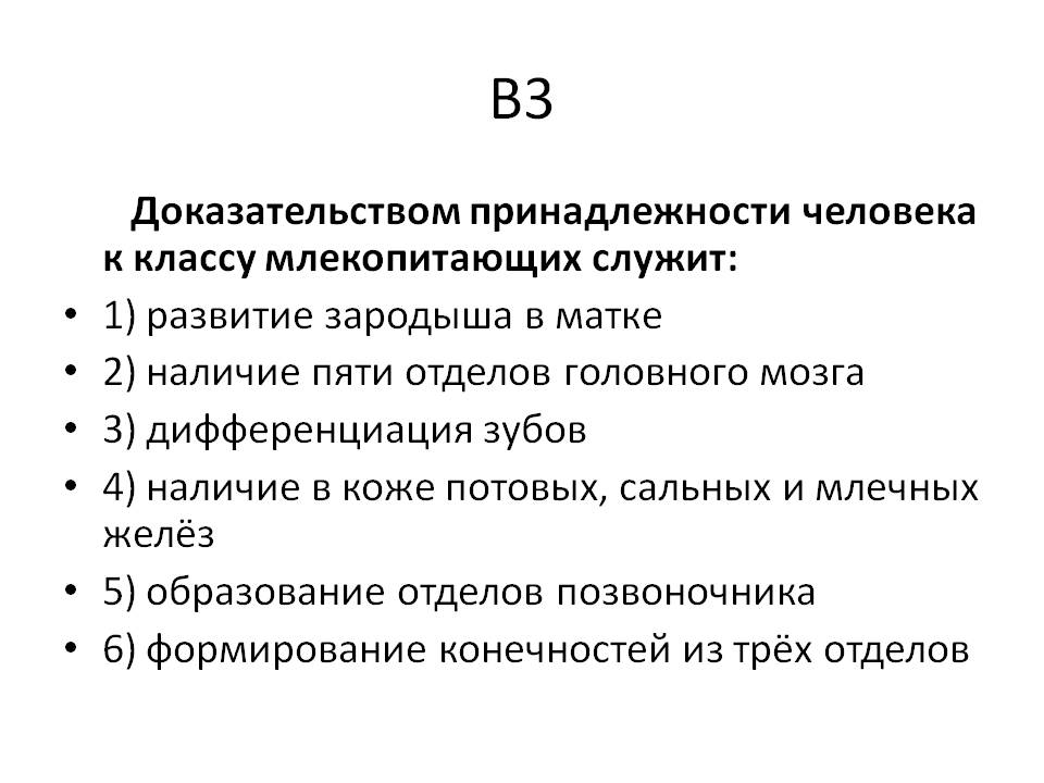 Развитие зародыша в матке