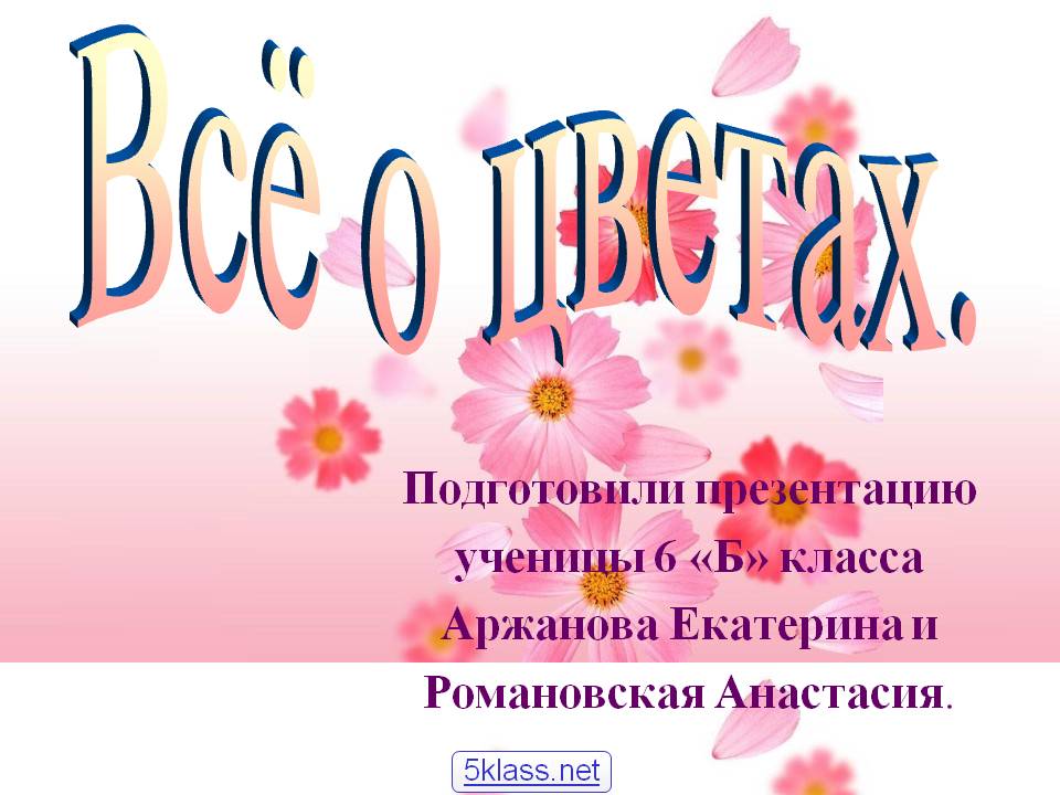 Всё о цветах