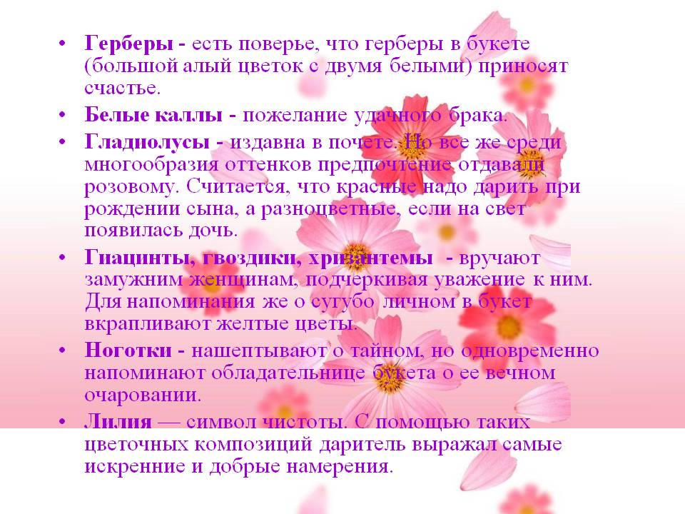 Герберы