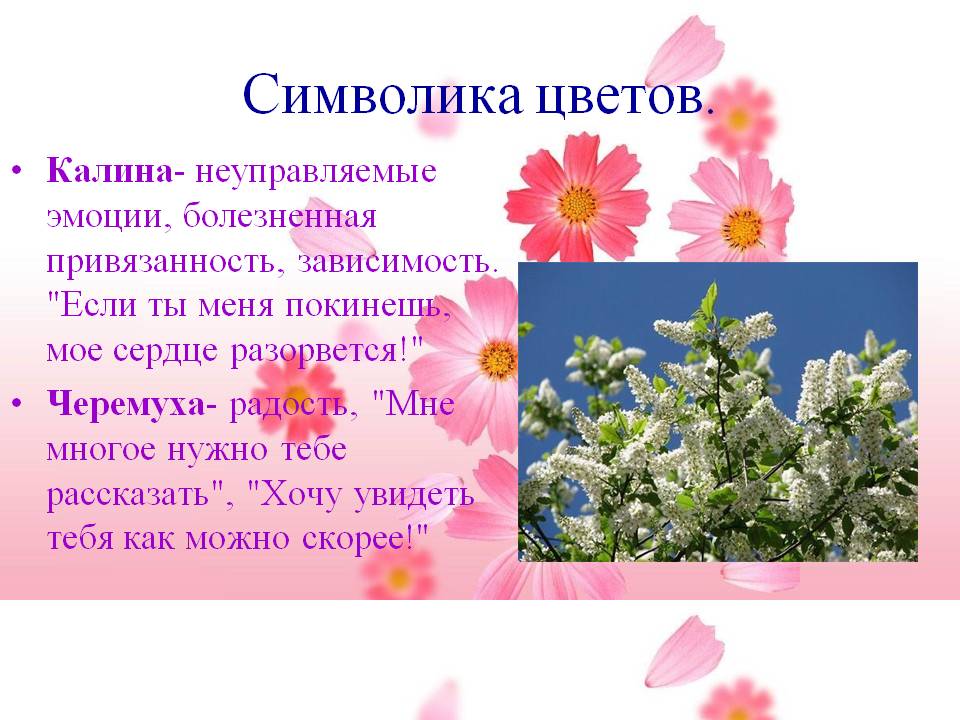Калина