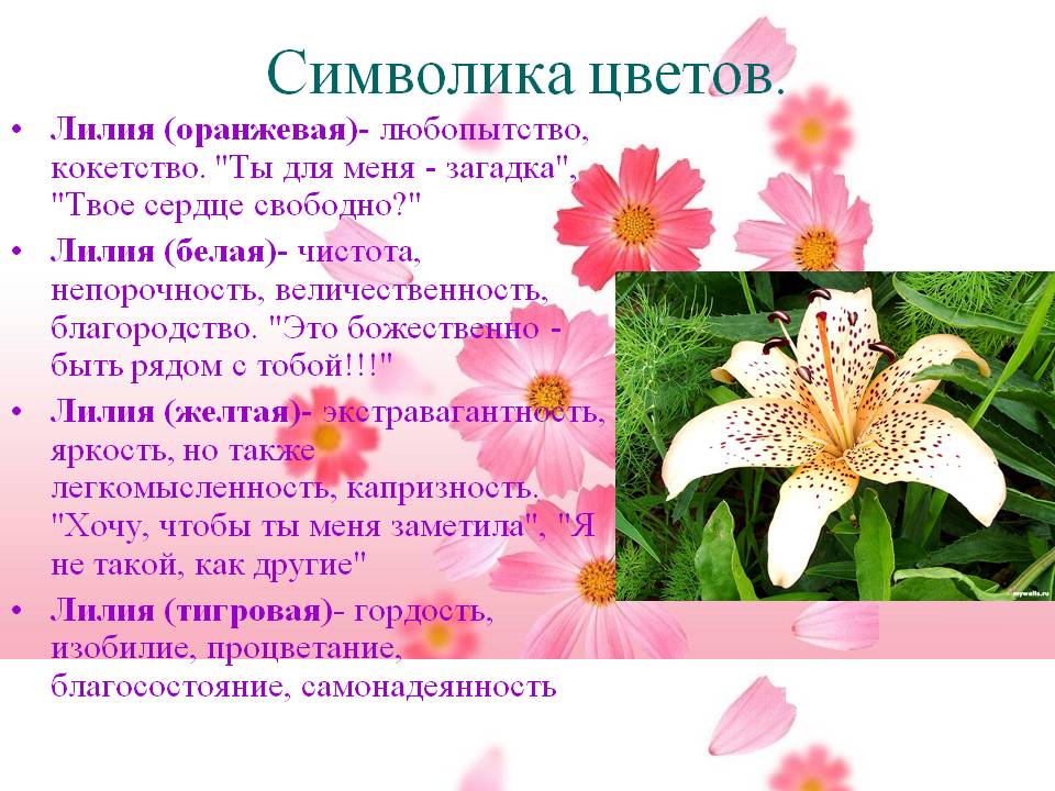 Лилия