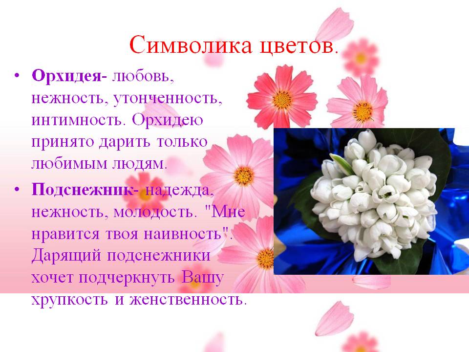 Орхидея