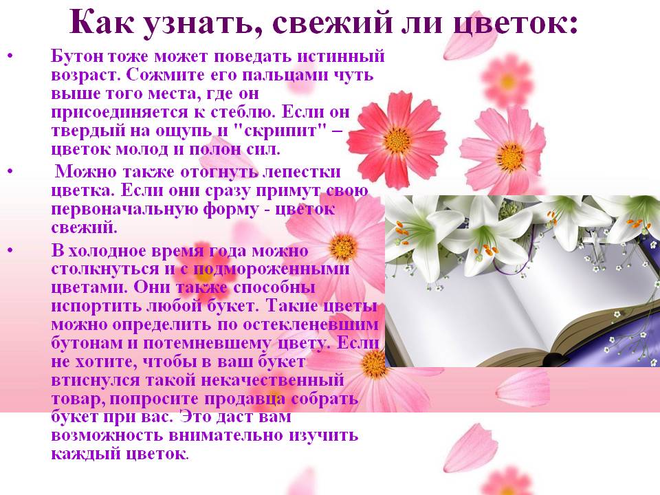 Бутон тоже может поведать истинный возраст