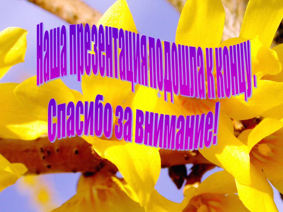 Наша презентация подошла к концу