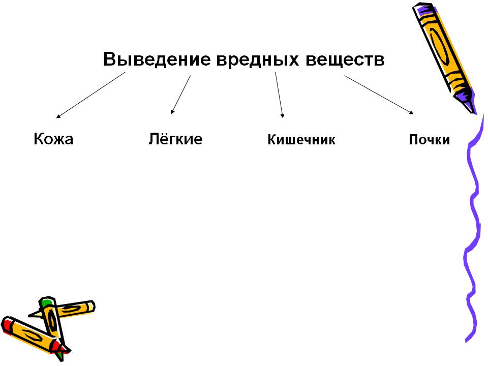 Выведение вредных веществ