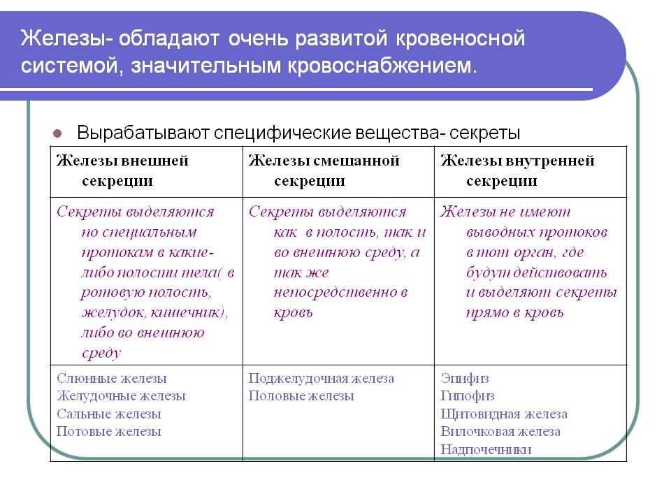 Железы