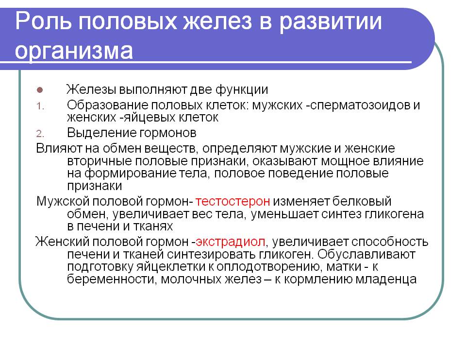 Роль половых желез в развитии организма