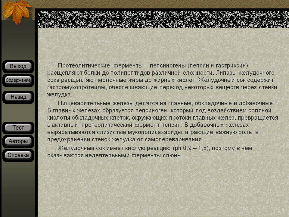 Протеолитические ферменты – пепсиногены (пепсин и гастриксин) –
