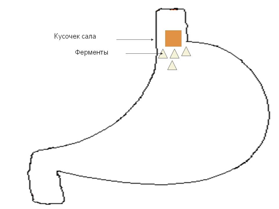 Кусочек сала