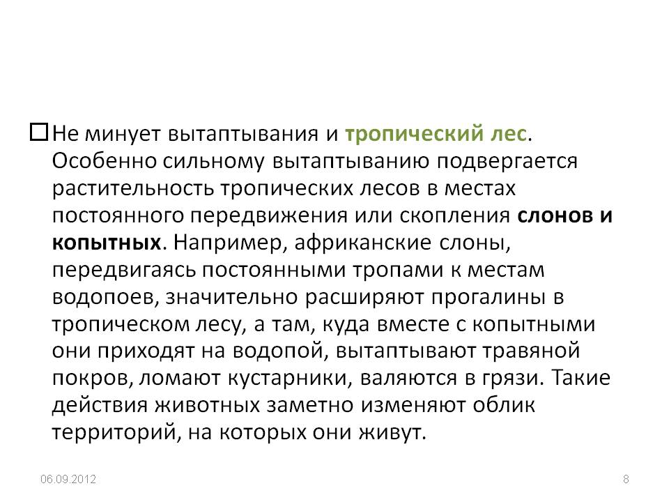 Не минует вытаптывания и тропический лес