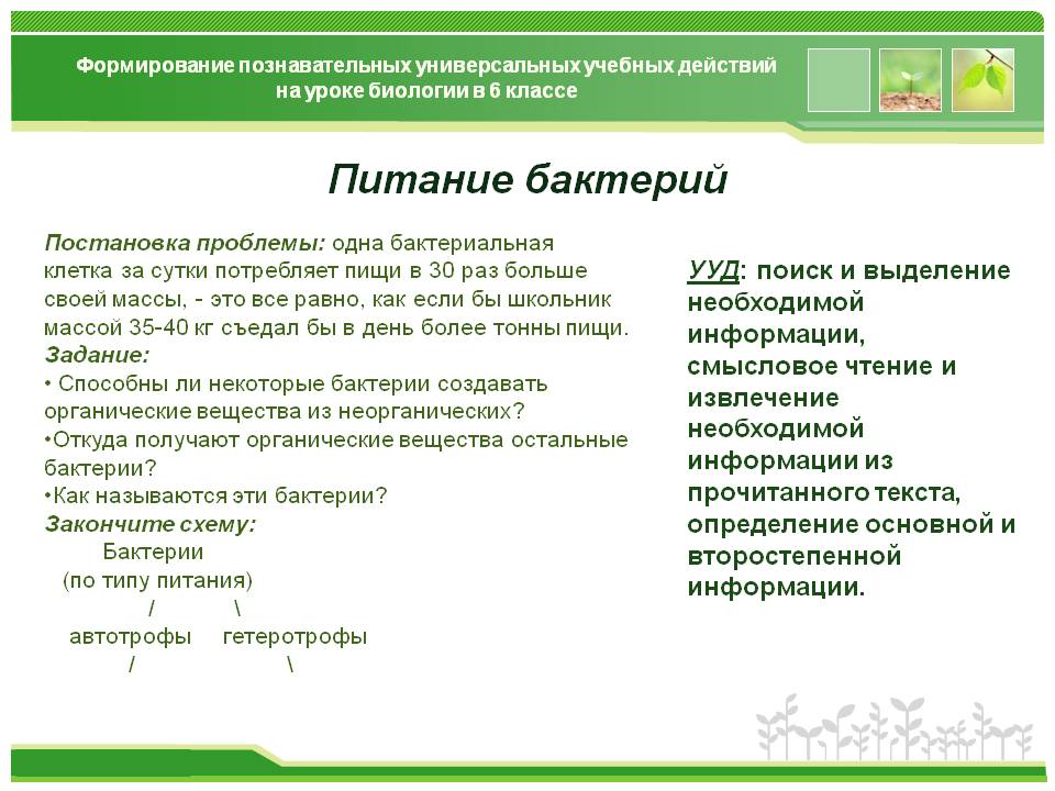 Питание бактерий