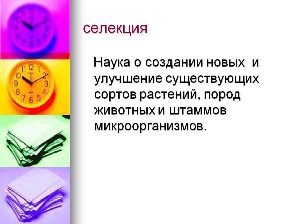 Селекция