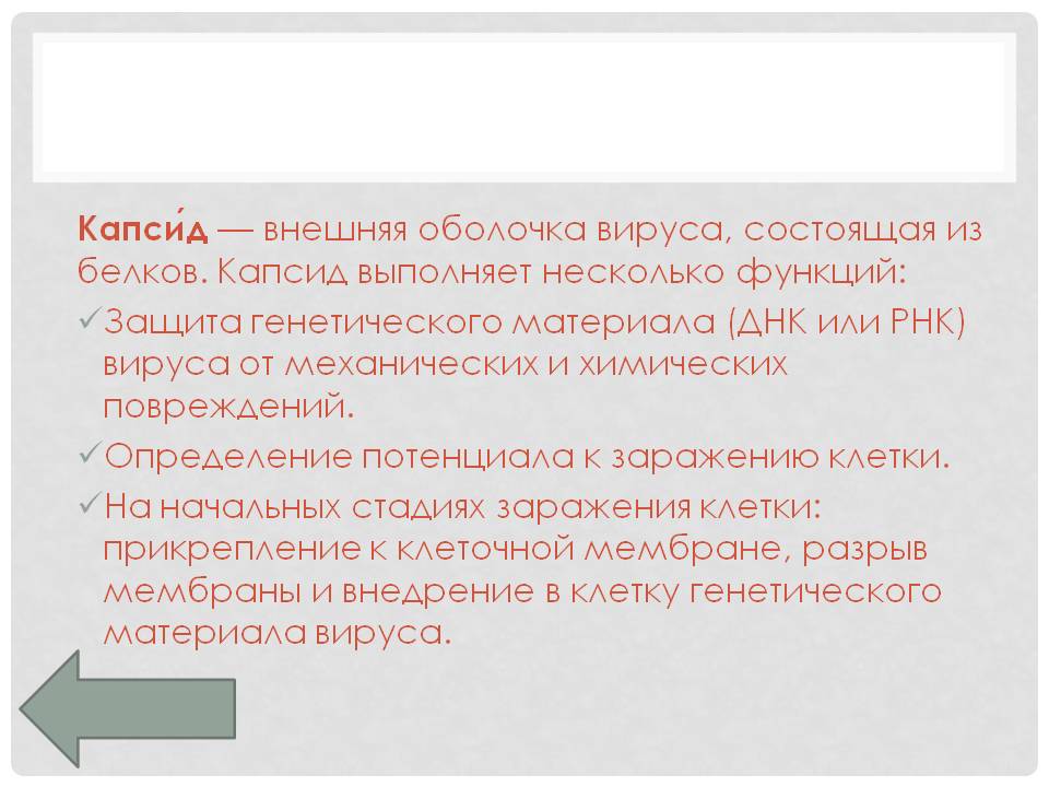 Капсид — внешняя оболочка вируса, состоящая из белков