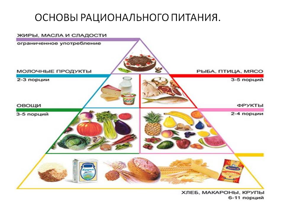 Основы рационального питания