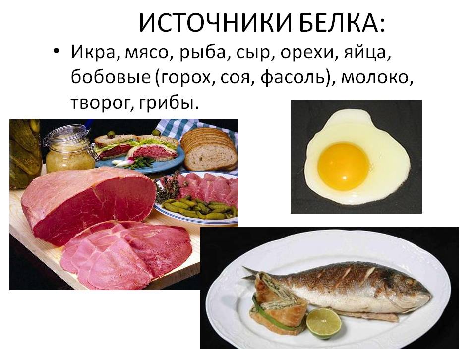 Источники белка
