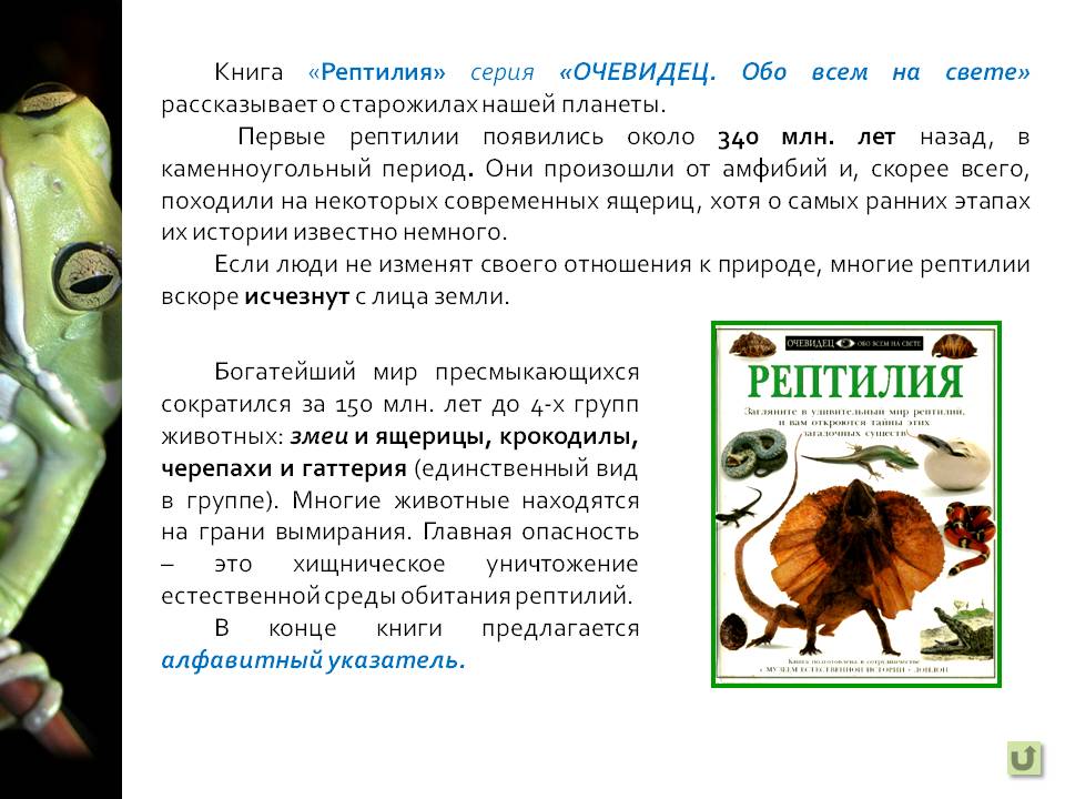 Земноводные и пресмыкающиеся