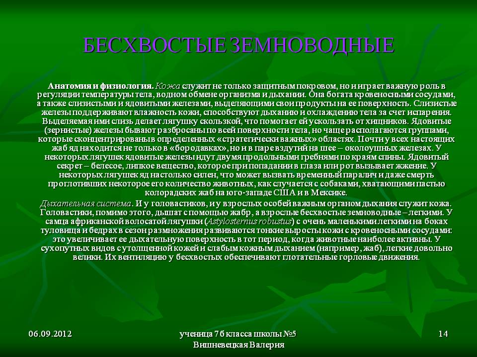 Бесхвостые земноводные