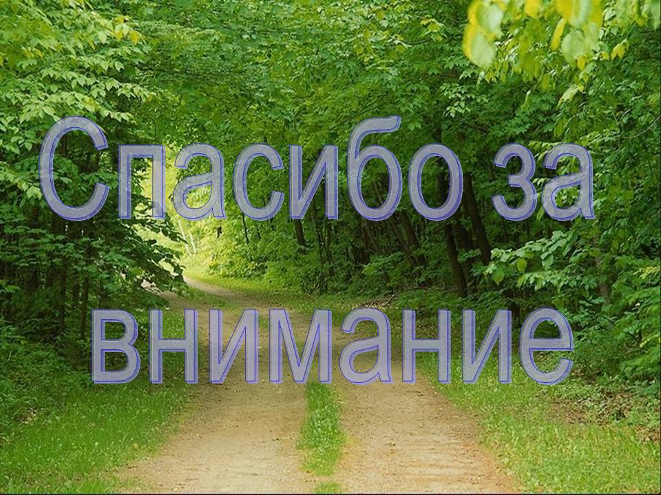 Спасибо за внимание