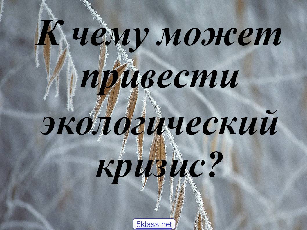 К чему может привести экологический кризис
