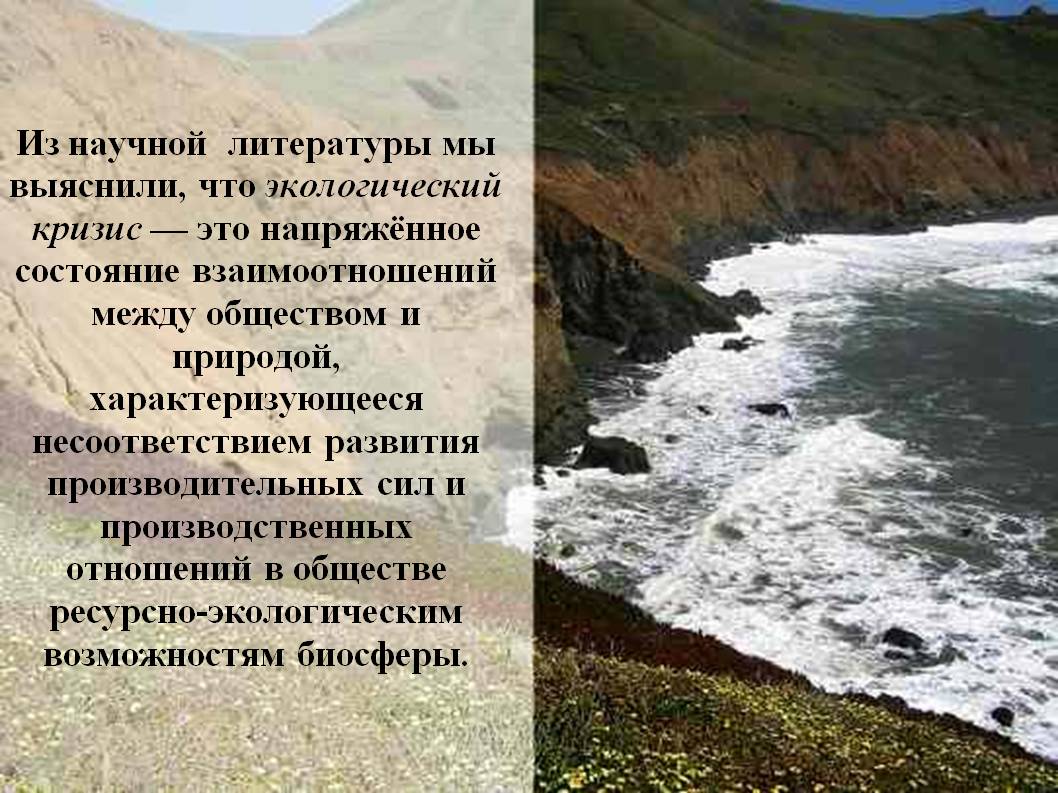 Из научной литературы мы выяснили, что экологический кризис — это