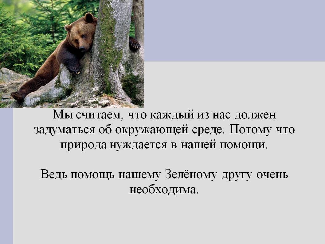 Мы считаем, что каждый из нас должен задуматься об окружающей среде