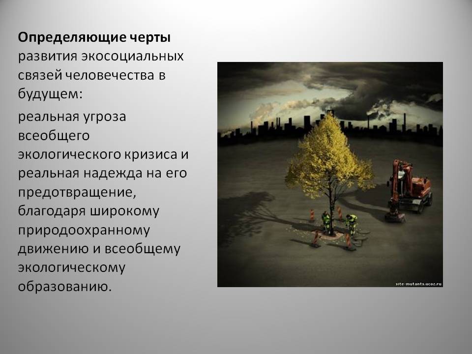 Определяющие черты развития экосоциальных связей человечества