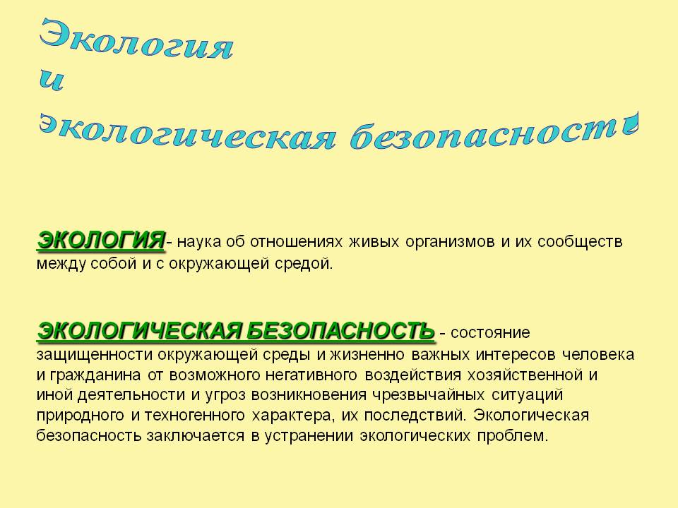 Экология и экологическая безопасность