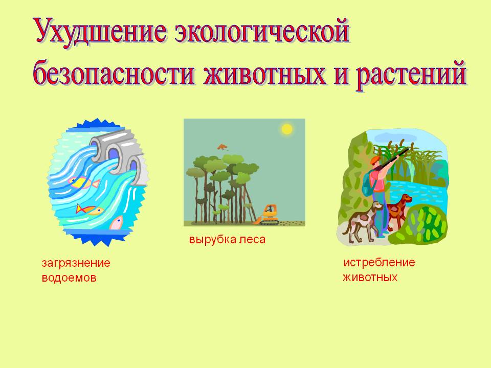 Ухудшение экологической безопасности животных и растений