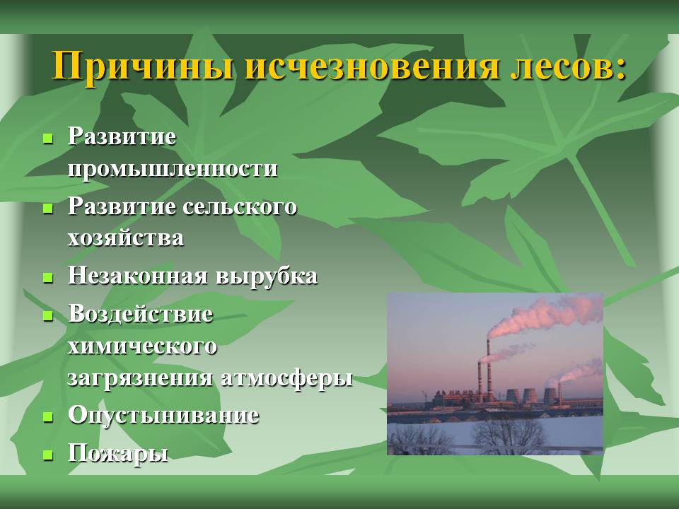 Причины исчезновения лесов: