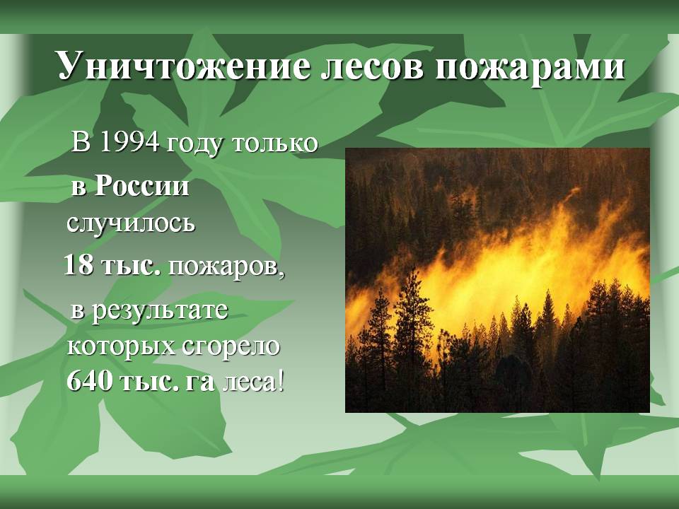 Уничтожение лесов пожарами