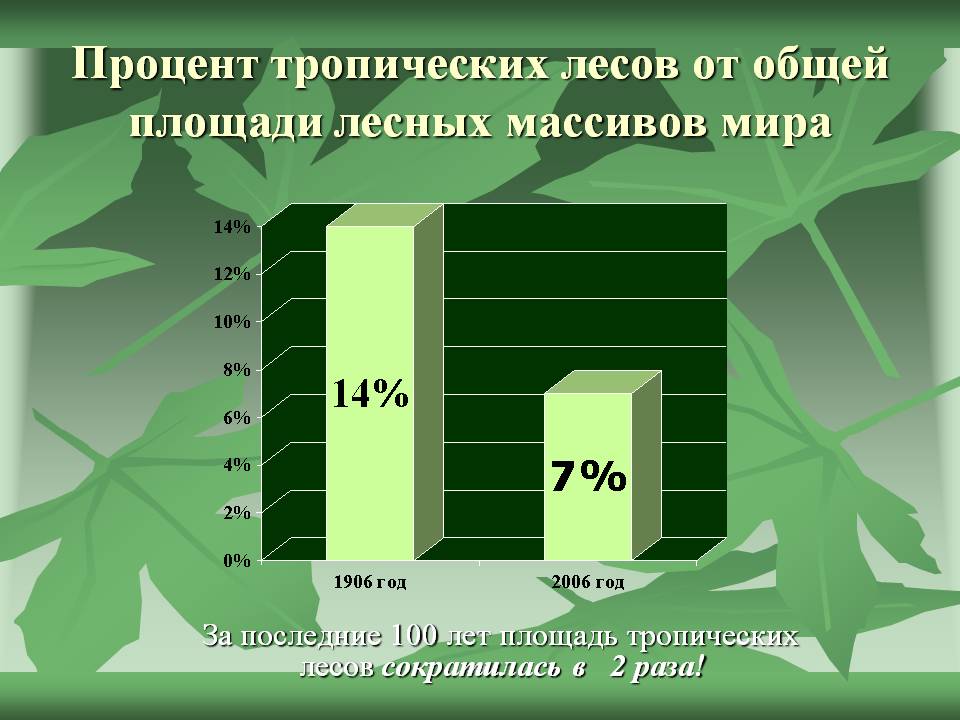 Процент тропических лесов от общей площади лесных массивов мира