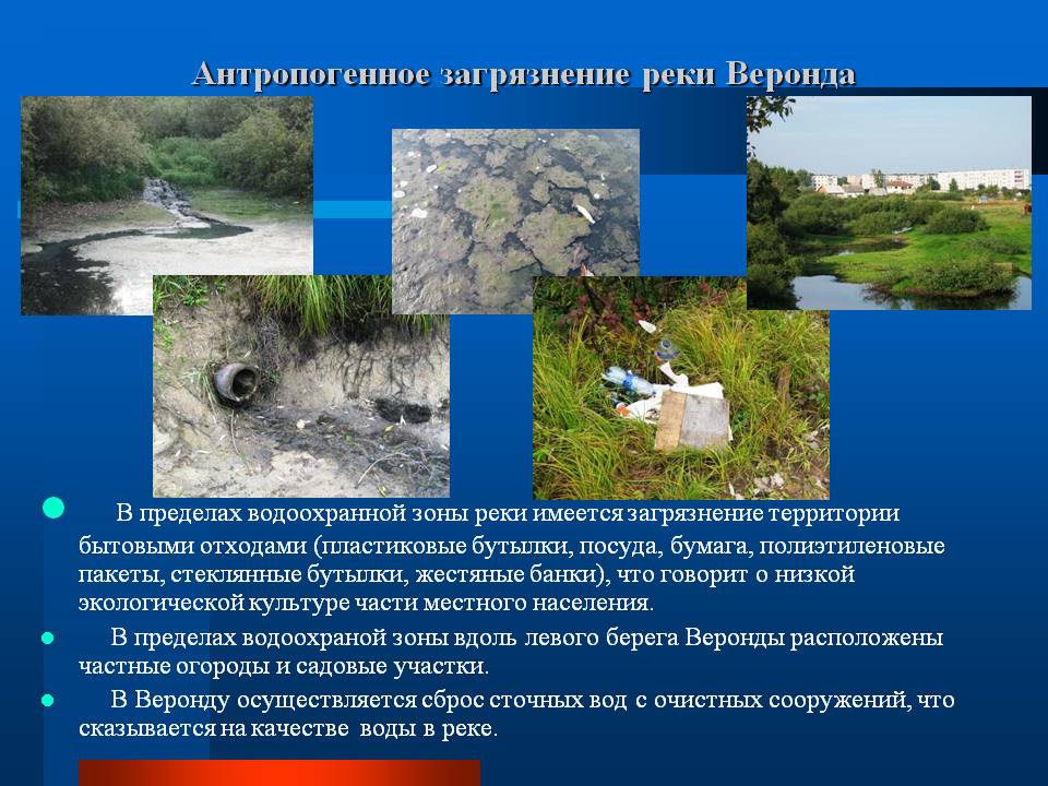 Загрязнение территории