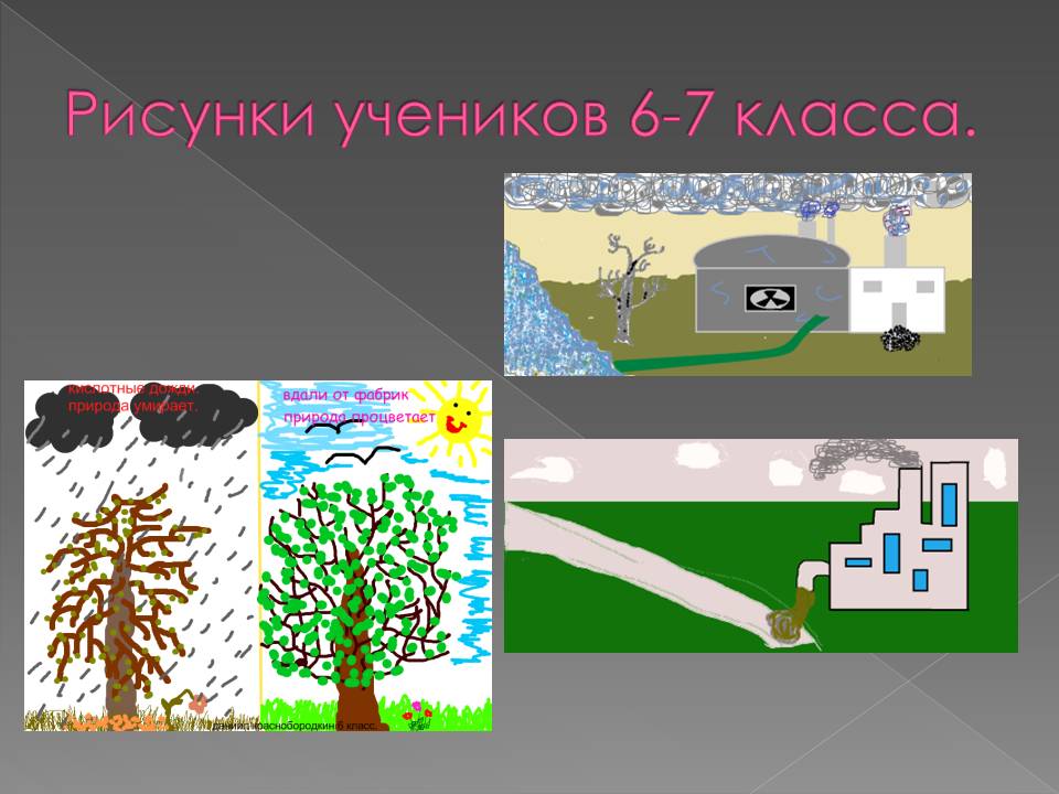 Рисунки учеников 6-7 класса