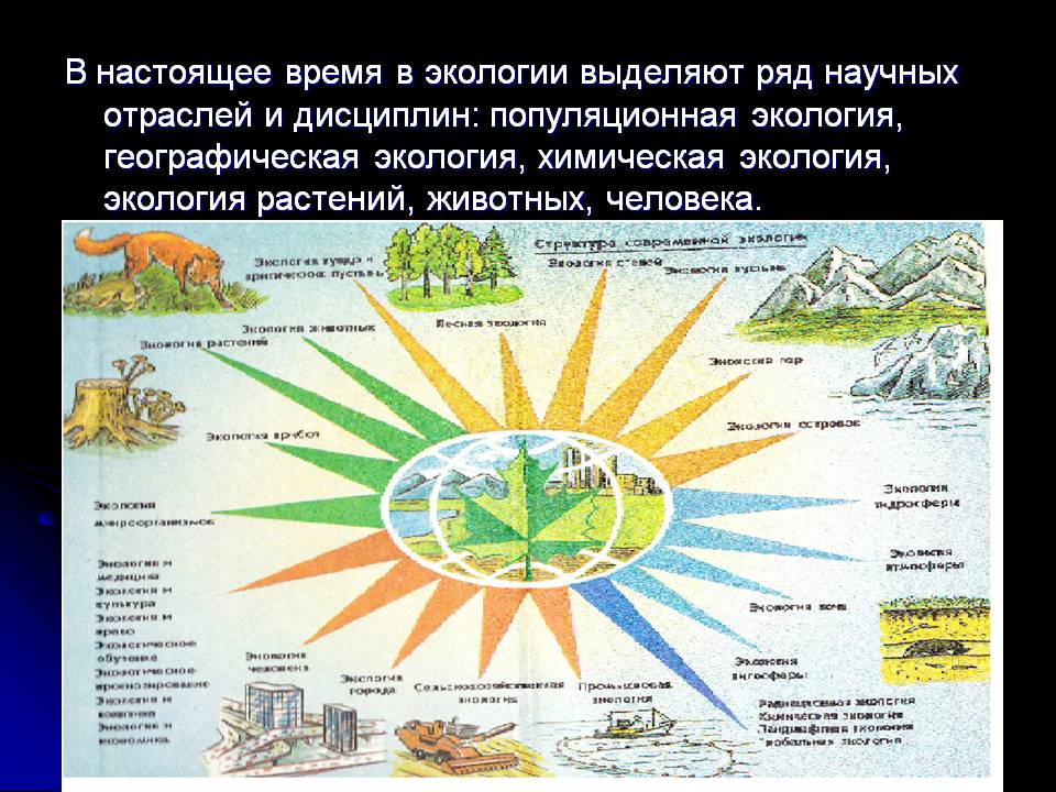 В настоящее время в экологии выделяют ряд научных отраслей и дисциплин