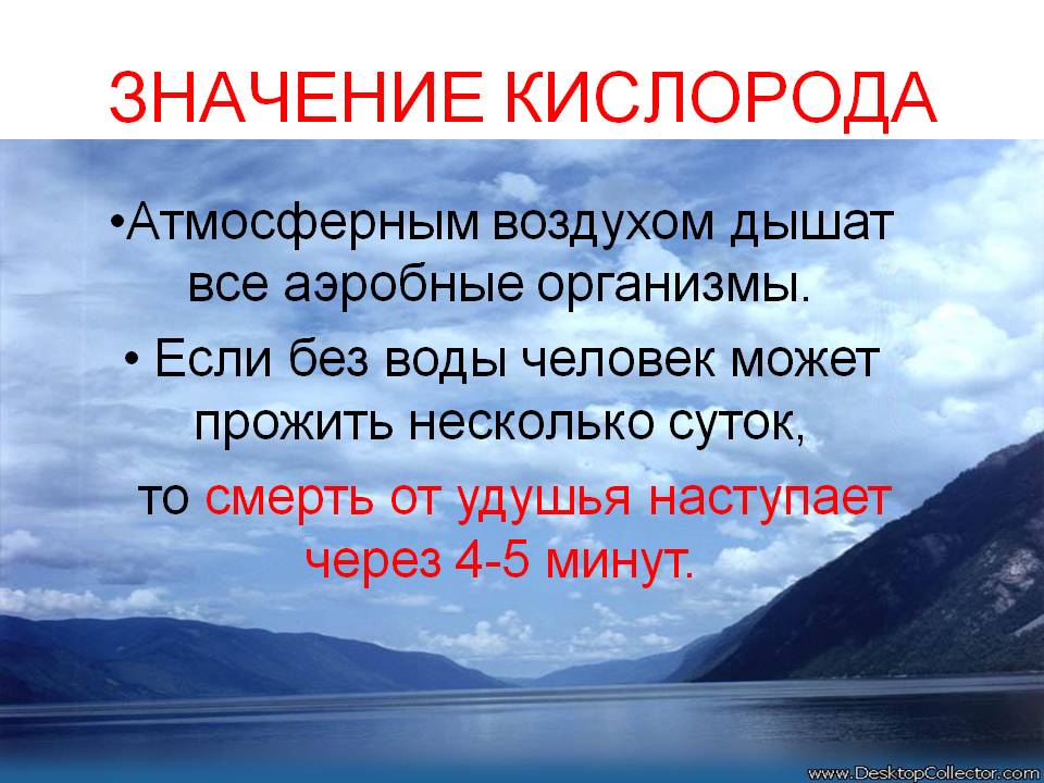 Значение кислорода
