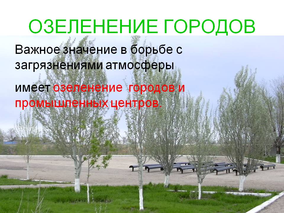 Озеленение городов